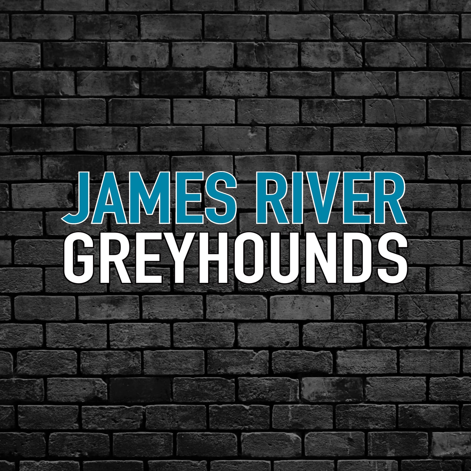 Greyhounds